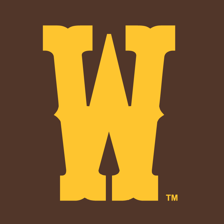 Wyoming Cowboys 2013-Pres Secondary Logo v2 iron on transfers for fabric